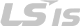 LS IS